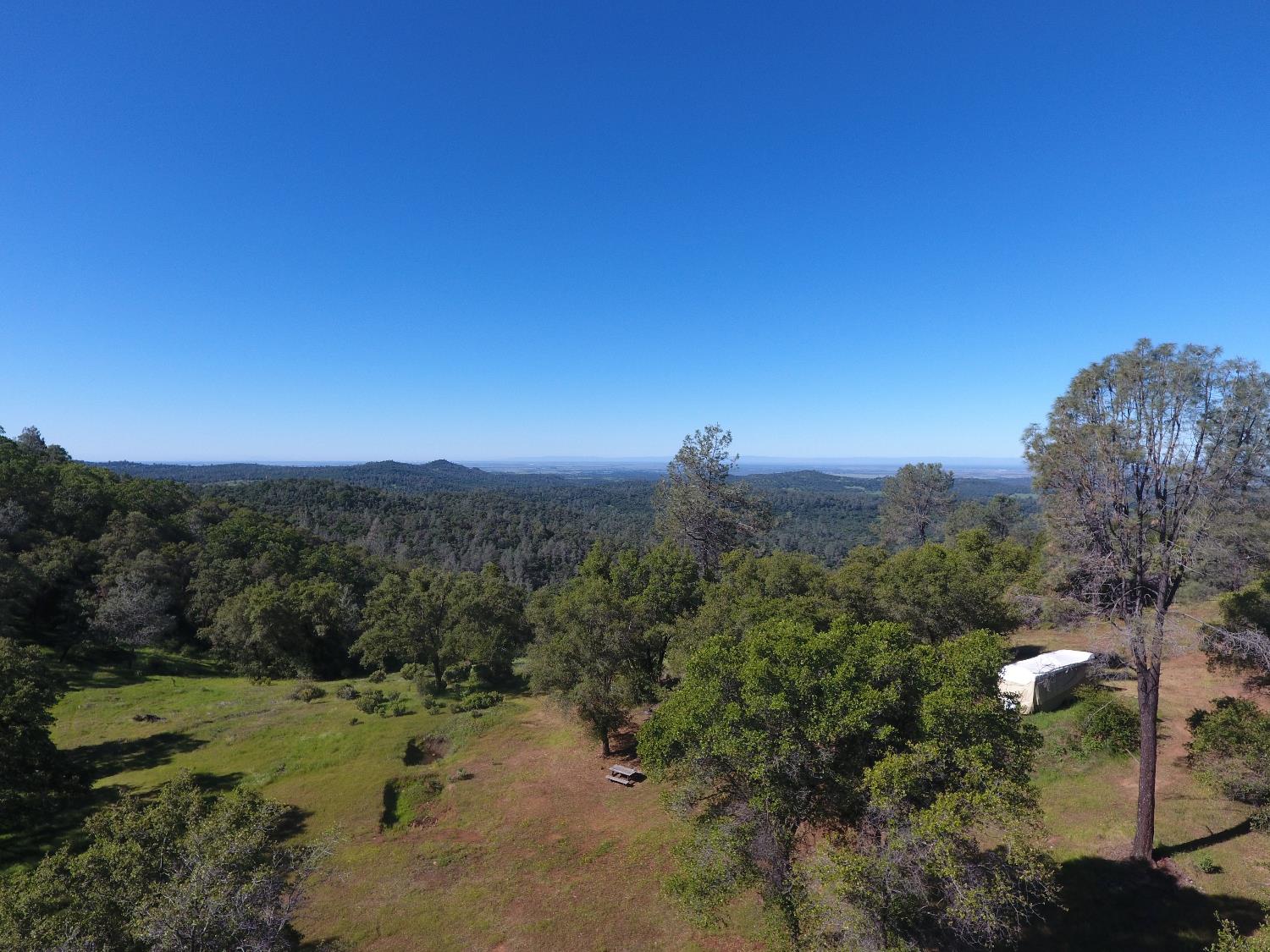 14210 Perimeter Road Grass Valley, CA 95949 - Photo 1 of 45 a view of a dry yard with trees