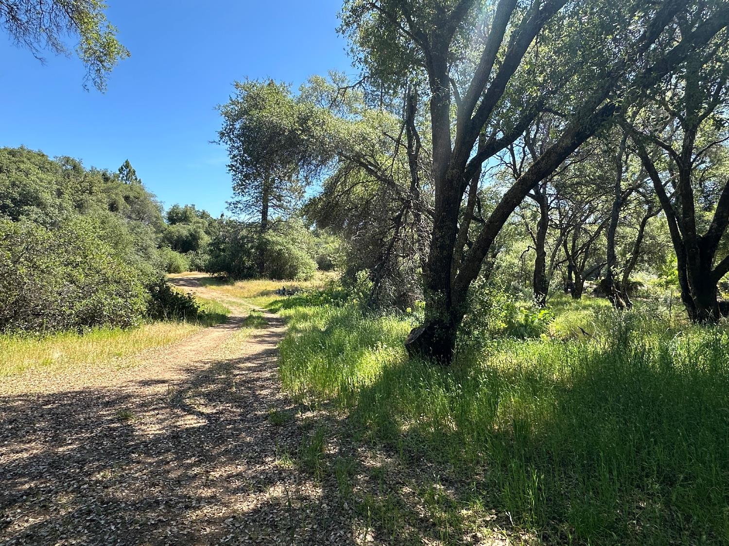 14210 Perimeter Road Grass Valley, CA 95949 - Photo 12 of 33 a view of a lake with a yard