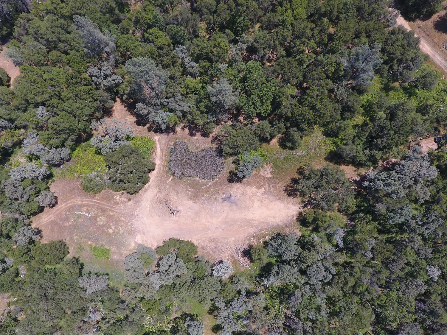 14210 Perimeter Road Grass Valley, CA 95949 - Photo 17 of 33 a view of a forest with a tree