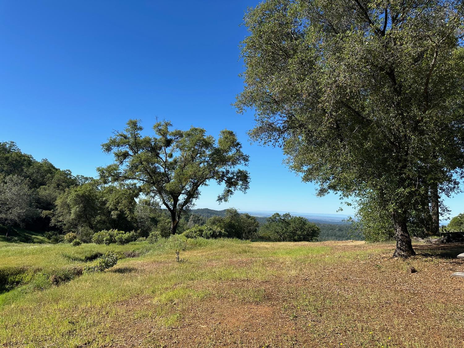 14210 Perimeter Road Grass Valley, CA 95949 - Photo 19 of 45 a view of a yard
