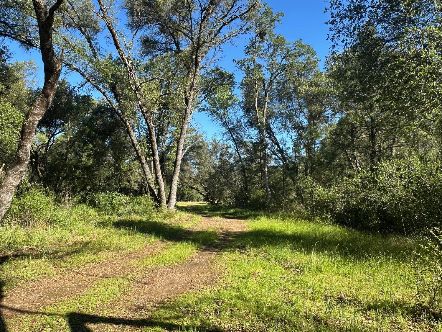 14210 Perimeter Road Grass Valley, CA 95949 - Photo 25 of 45 a view of lake
