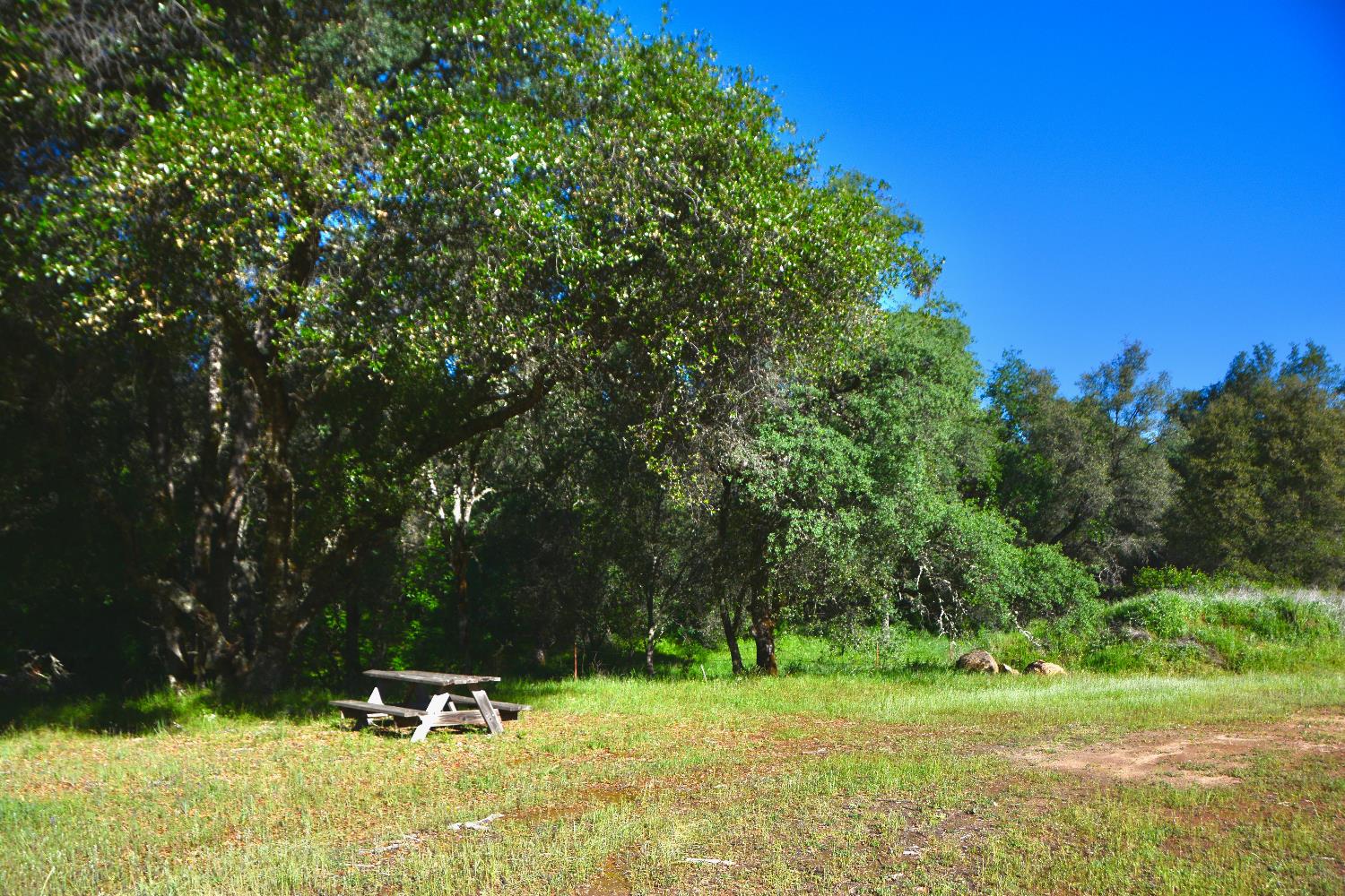 14210 Perimeter Road Grass Valley, CA 95949 - Photo 33 of 45 a view of a park with a tree