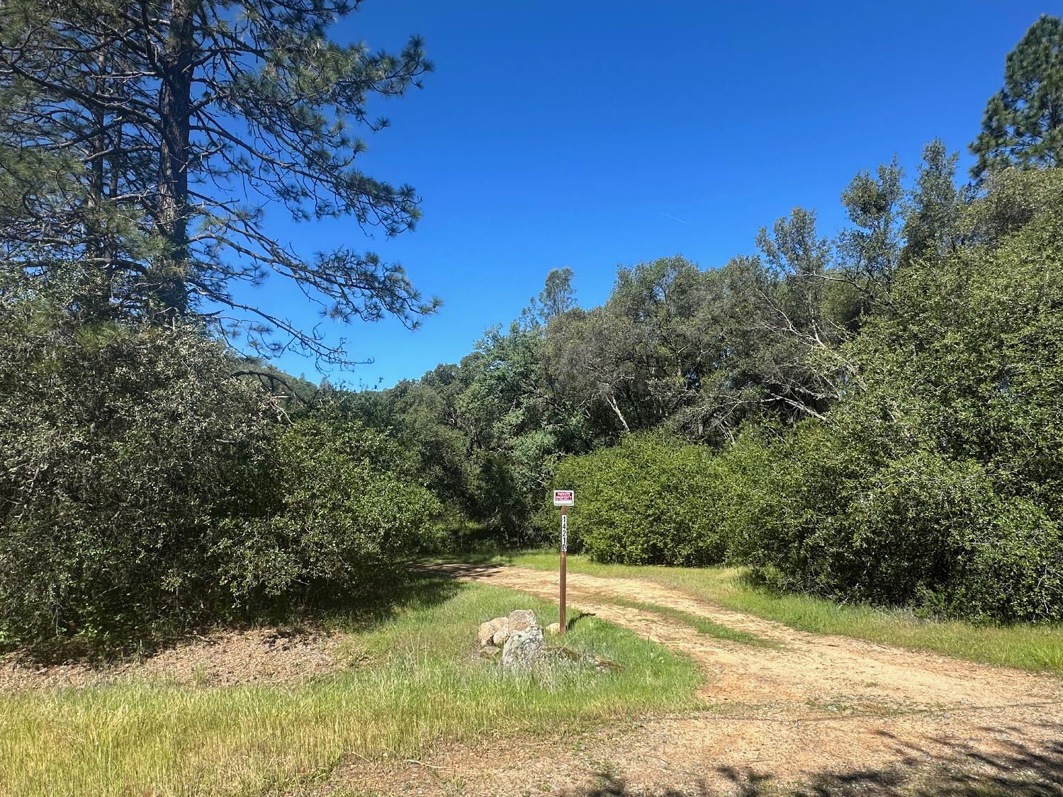 14210 Perimeter Road Grass Valley, CA 95949 - Photo 45 of 45 a view of a backyard