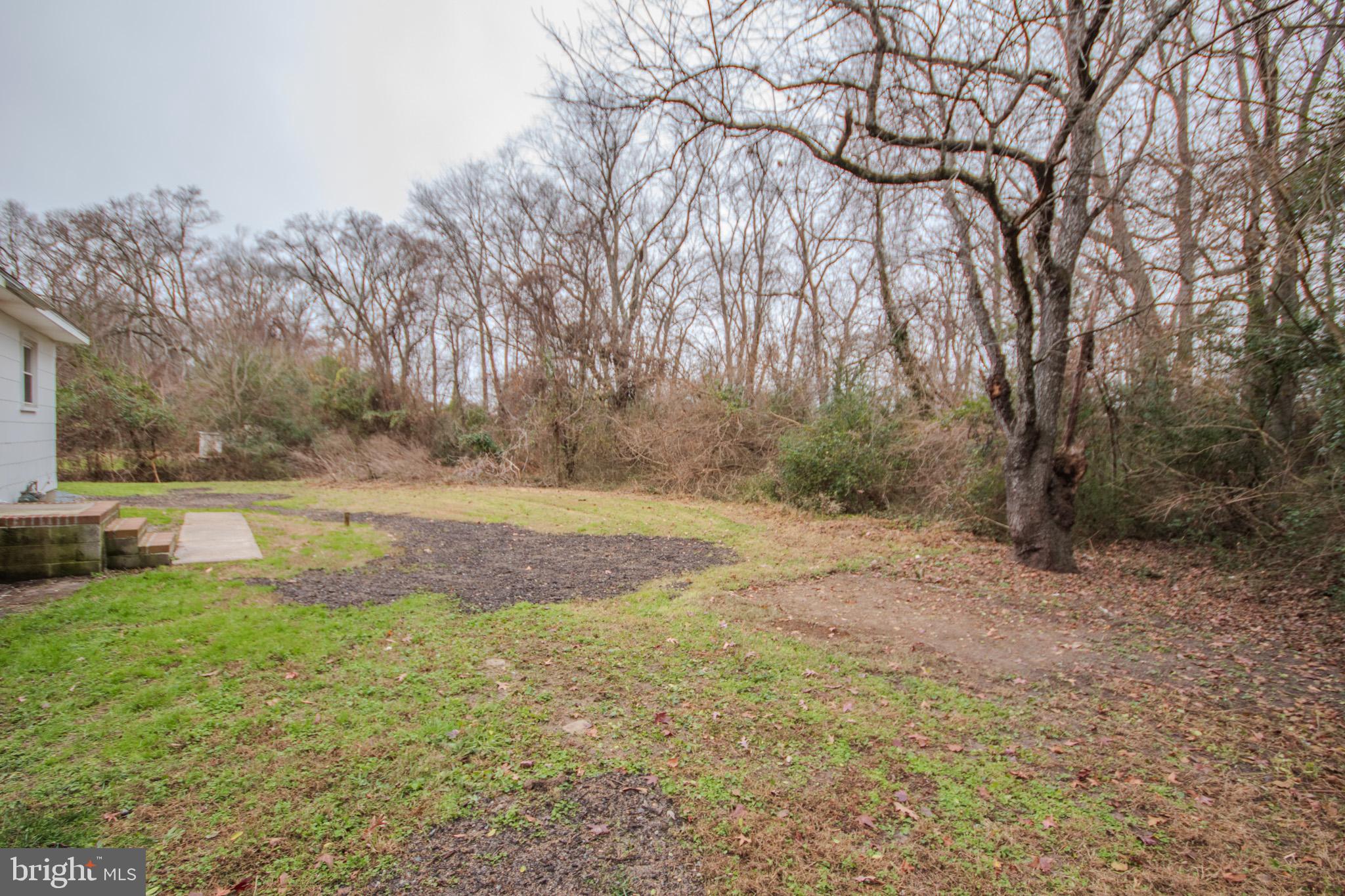 306 Autumn Terrace Salisbury, MD 21804 - Photo 21 of 21 a view of yard with tree in the background