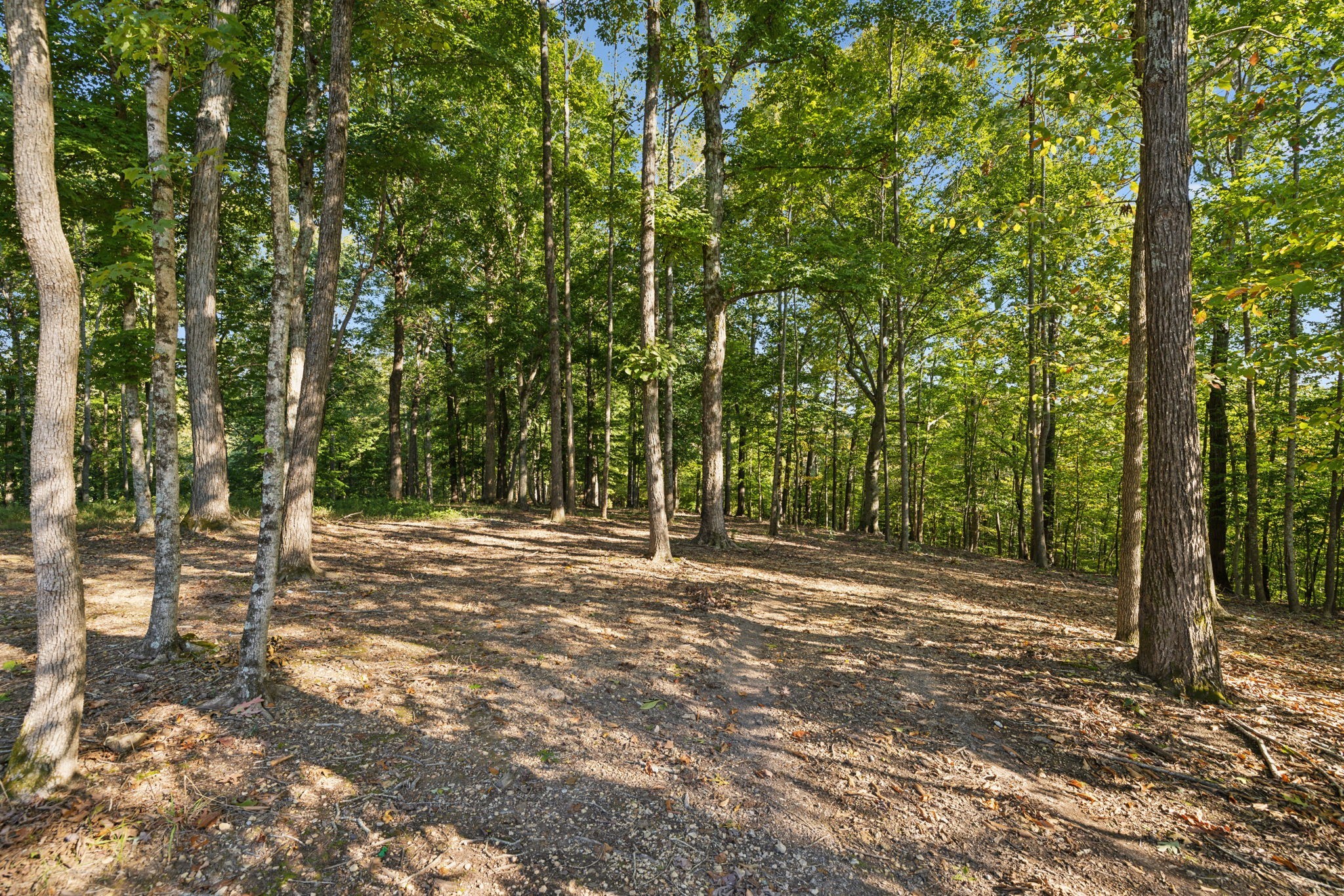 5600 Parker Branch Road Franklin, TN 37064 - Photo 63 of 70
