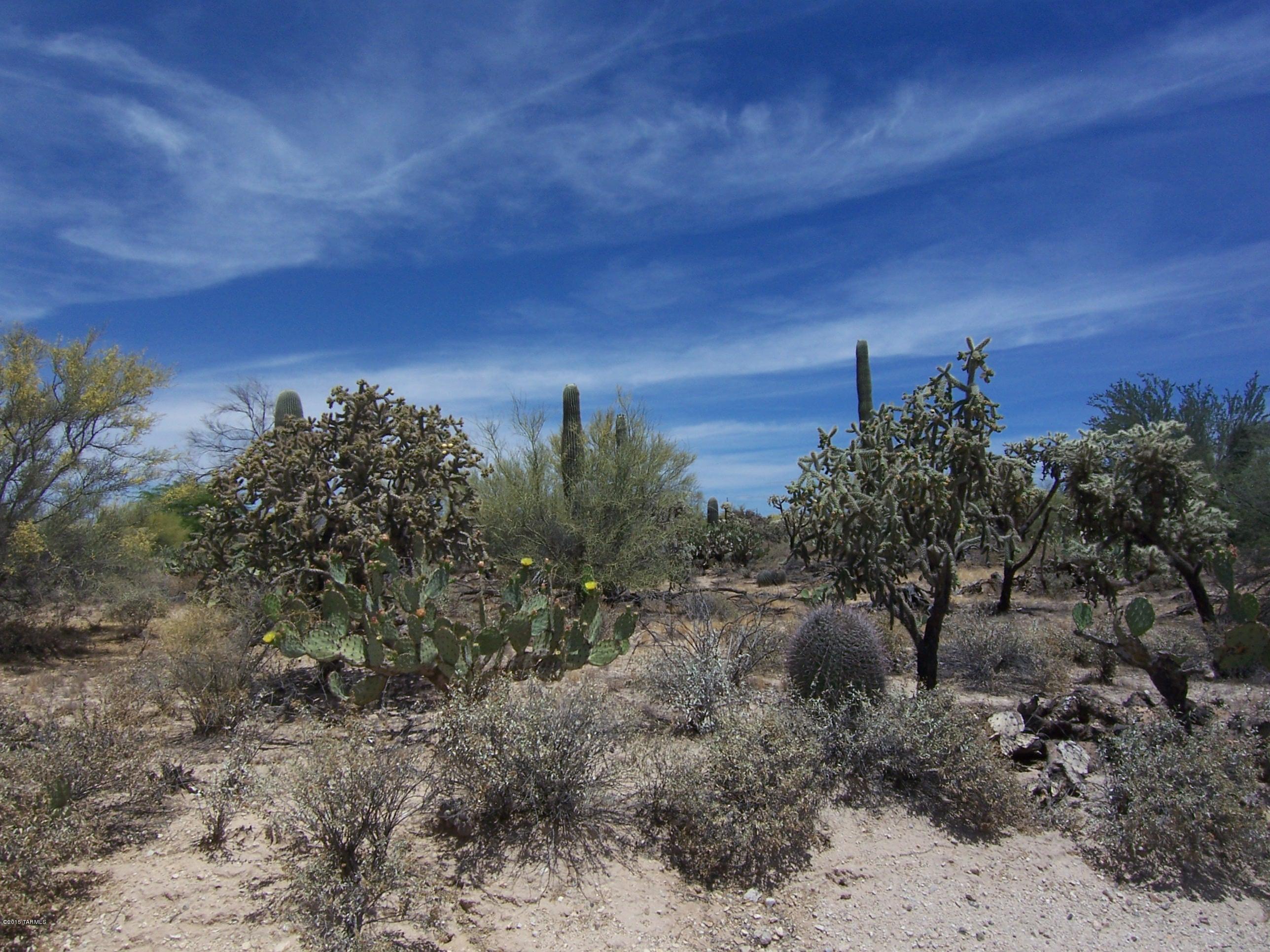 10700 North Thornydale Road Tucson, AZ 85742 - Photo 7 of 10