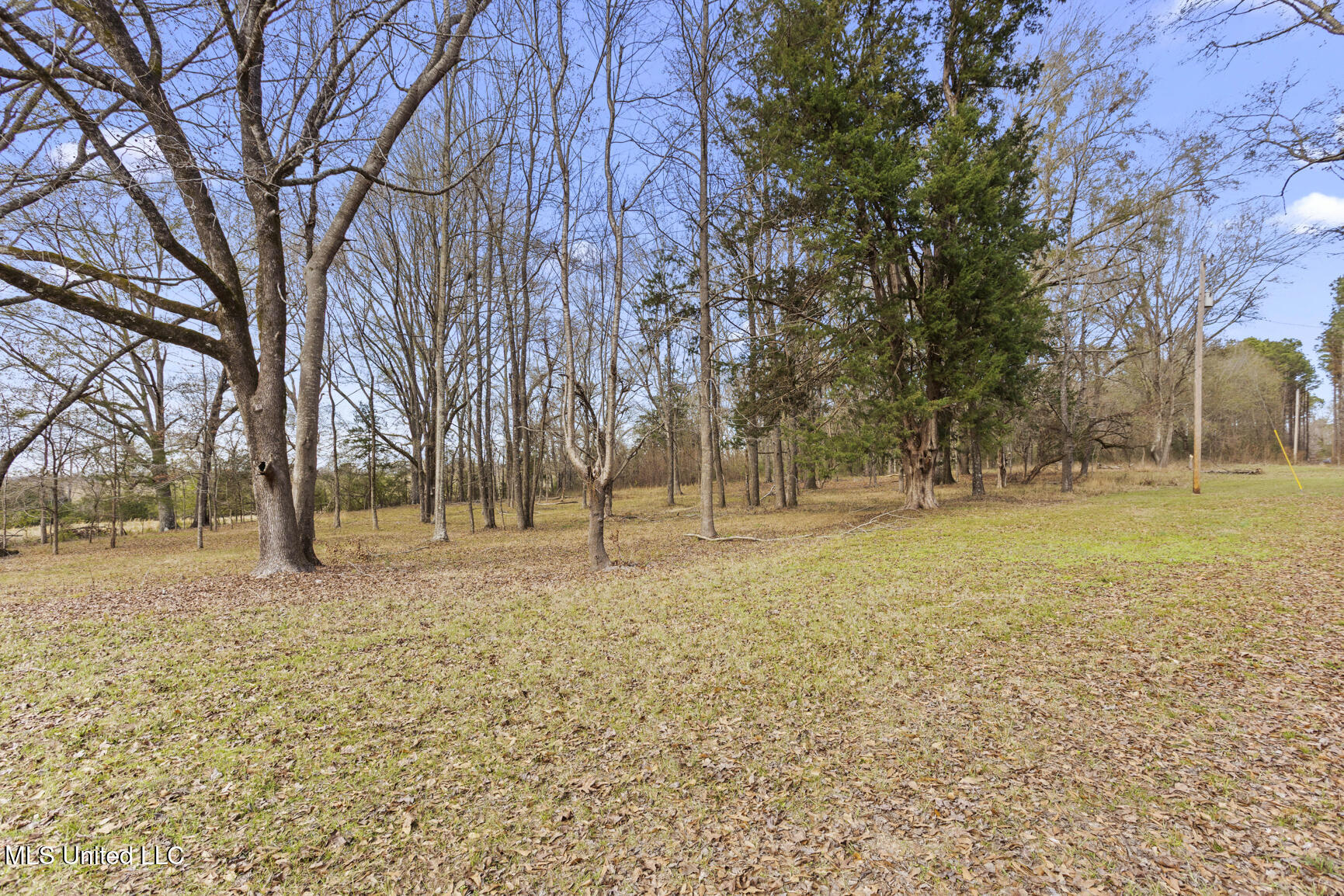 236 Childress Lane Flora, MS 39071 - Photo 13 of 51 236 Childress Lane-52