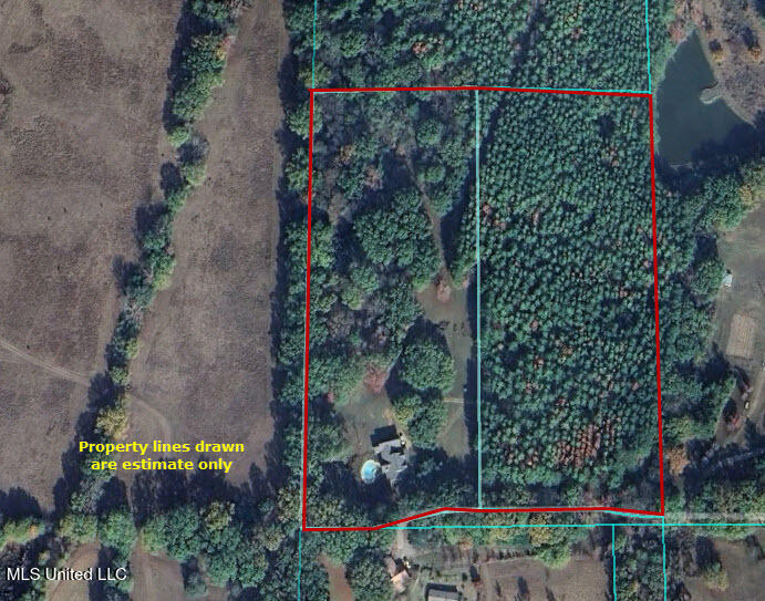 236 Childress Lane Flora, MS 39071 - Photo 6 of 51 236 childres lines