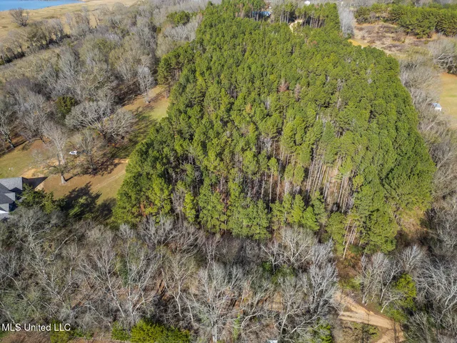 $725,000 | 236 Childress Lane, Flora, MS 39071