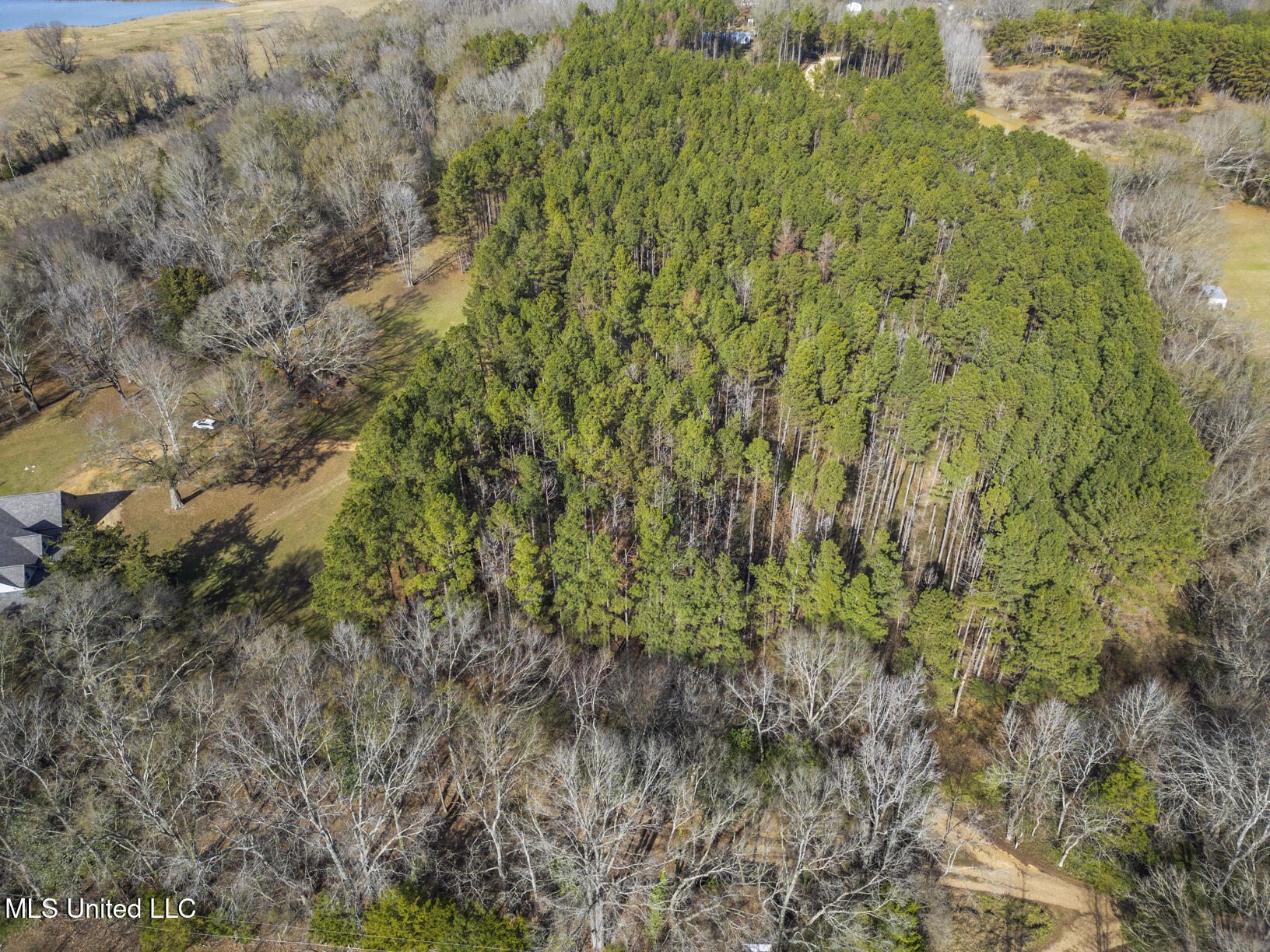 236 Childress Lane Flora, MS 39071 - Photo 7 of 51 236 Childress drone-4