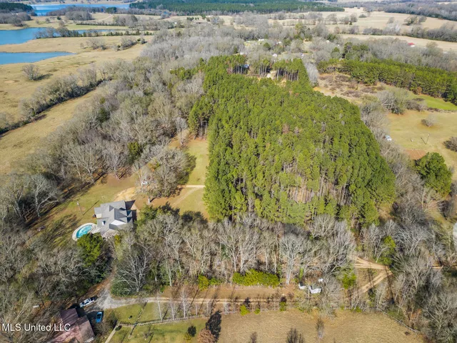 $725,000 | 236 Childress Lane, Flora, MS 39071