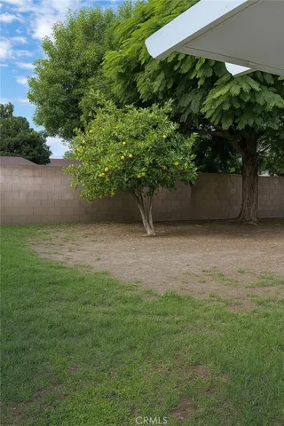 a view of outdoor space and yard