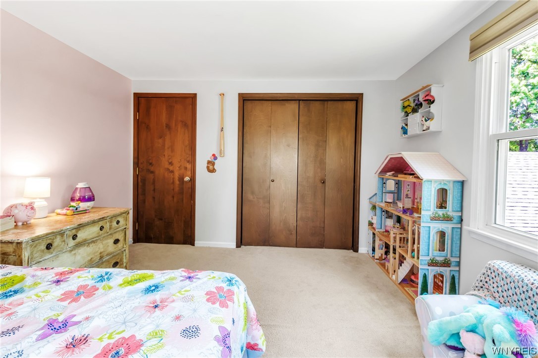 312 Town Line Road Elma, NY 14086 - Photo 36 of 46