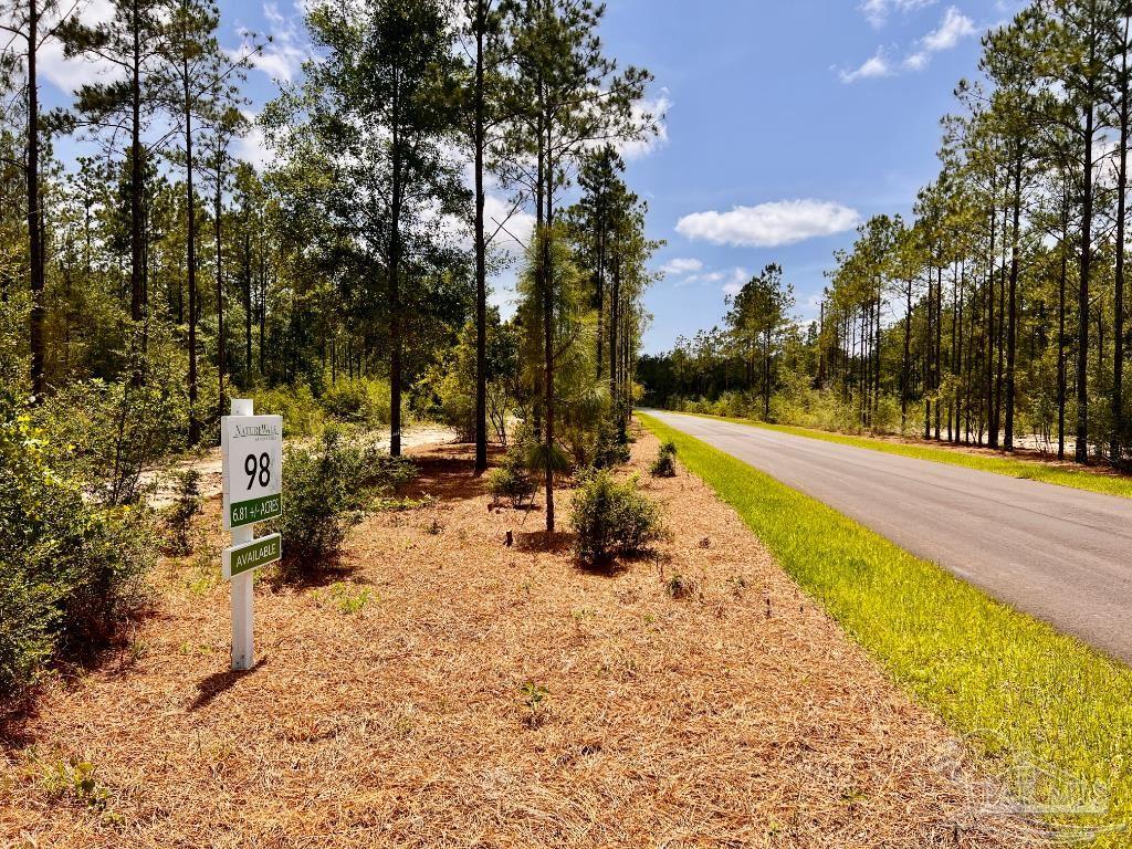 Lot 98 Turning Leaf Road Milton, FL 32571 - Photo 3 of 45 Gallery Image 3