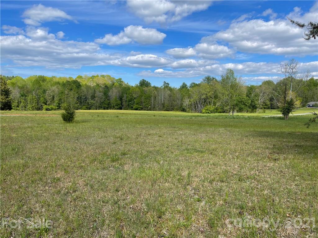 4365 Landrum Road, Unit 2 Columbus, NC 28722 - Photo 6 of 9 a view of outdoor space with green field and trees