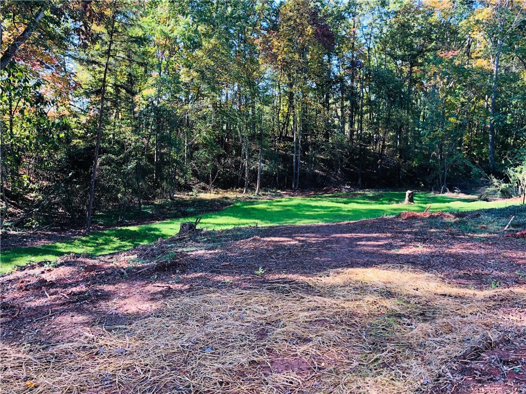 404 Crossfire Lane Seneca, SC 29678 - Photo 18 of 22 Gallery Image 18
