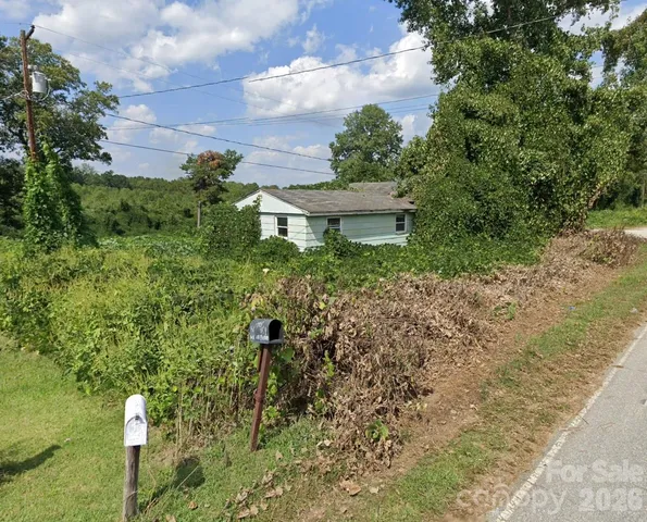 a view of a yard with plants and large trees