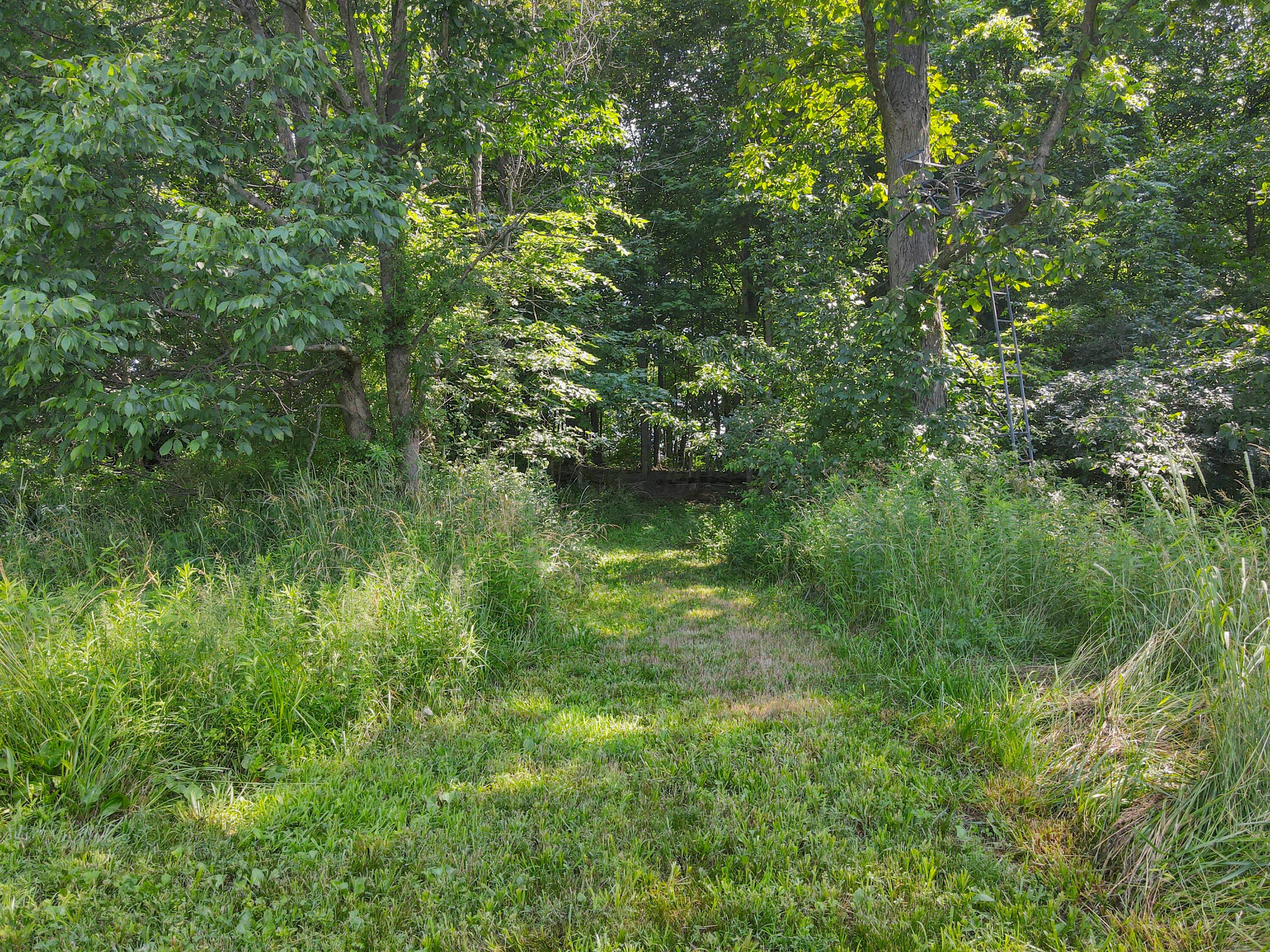 4225 Election House Road Northwest Lancaster, OH 43130 - Photo 68 of 96 Back & side yard views with trails
