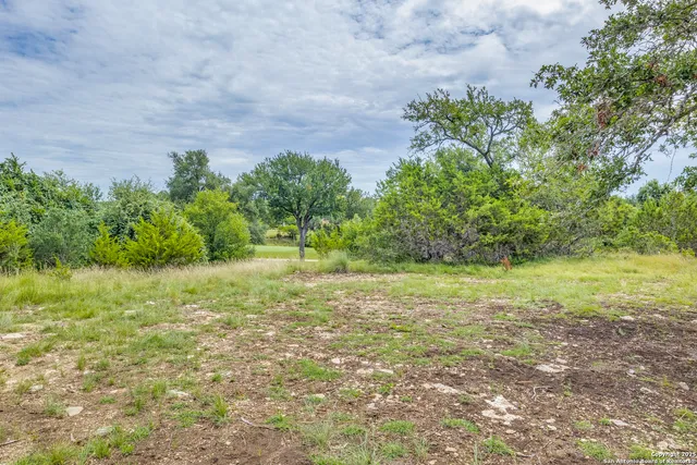 a view of a field with trees in the background