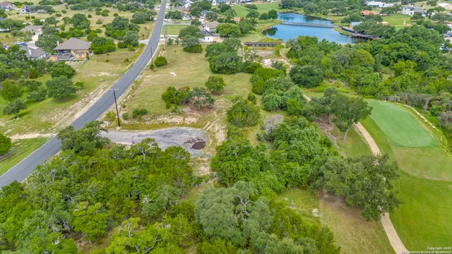 a view of a yard and trees