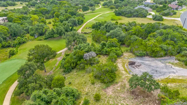 a view of a yard with plants and large trees