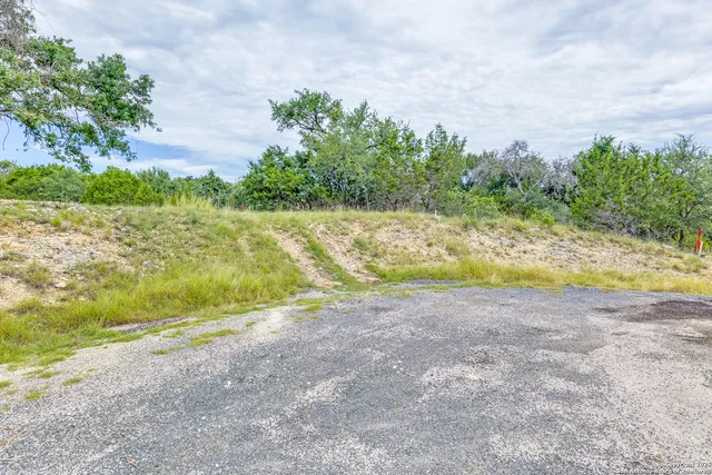 a view of a yard with an trees
