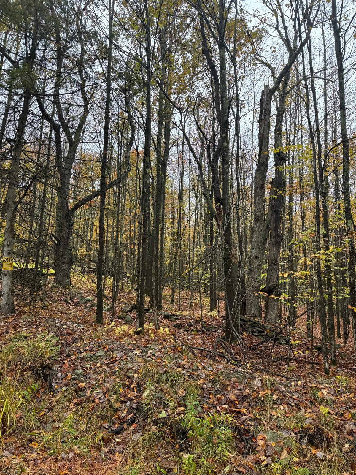 83 Berry Road Sanford, NY 13813 - Photo 2 of 10 Gallery Image 2