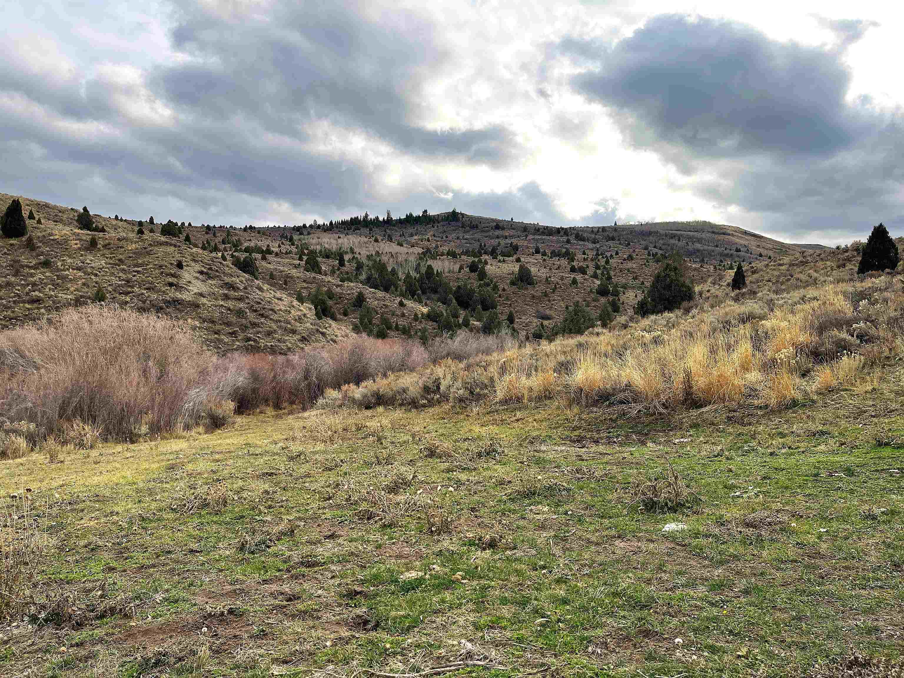 0 Dan Creek Road Firth, ID 83236 - Photo 16 of 50 Gallery Image 16
