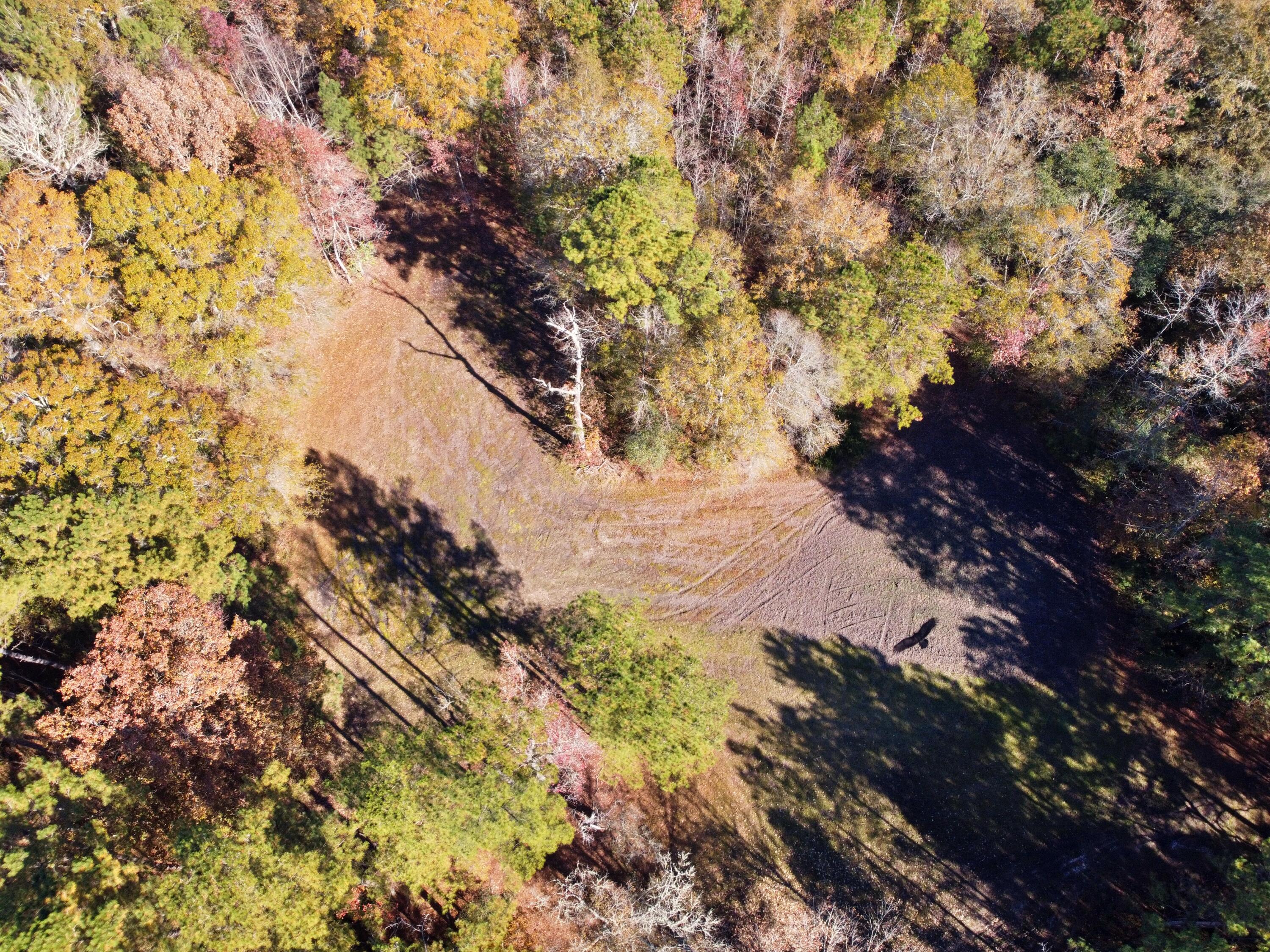 0 Fleming Road Round O, SC 29474 - Photo 31 of 51 25