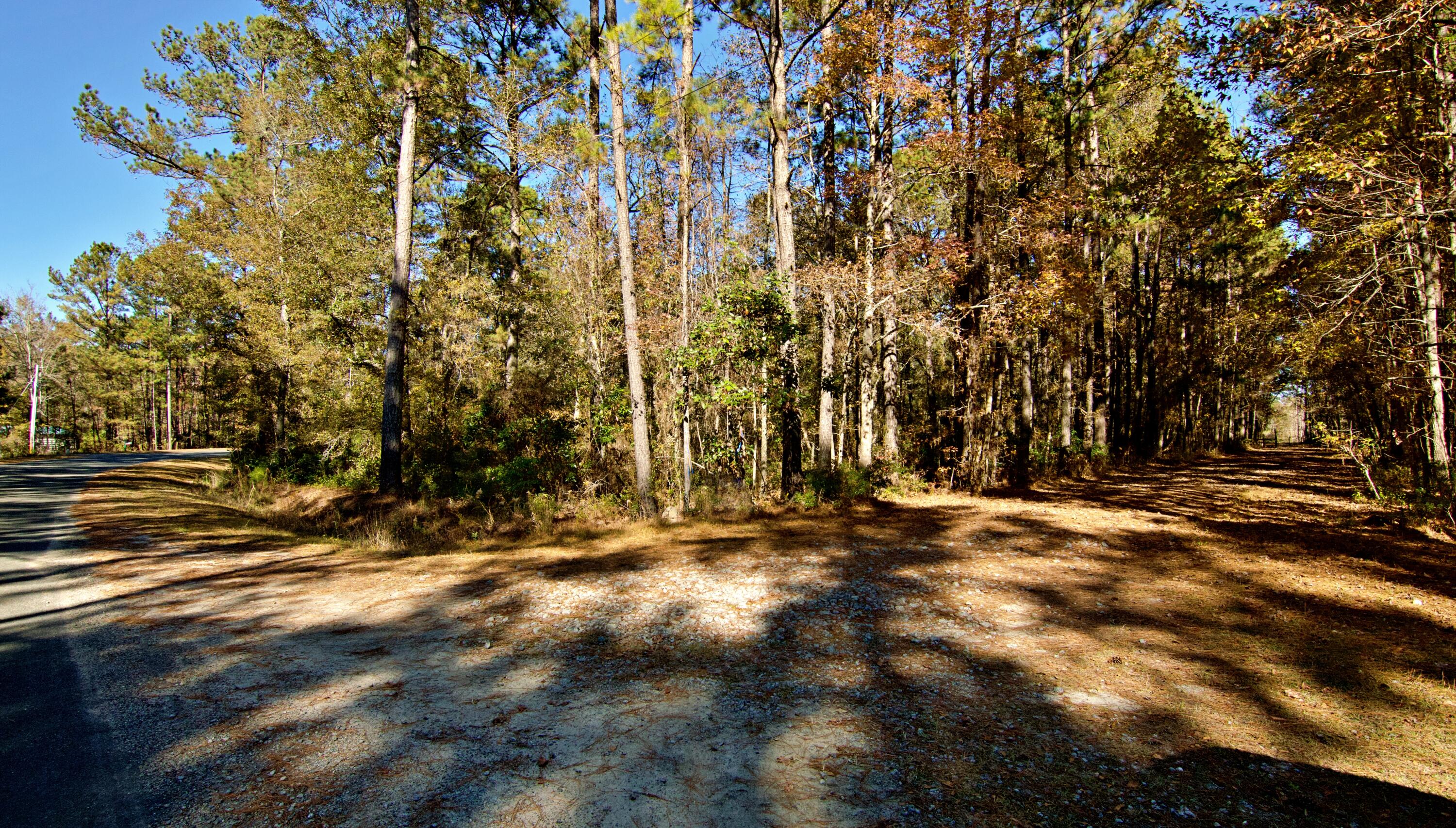 0 Fleming Road Round O, SC 29474 - Photo 50 of 51 303
