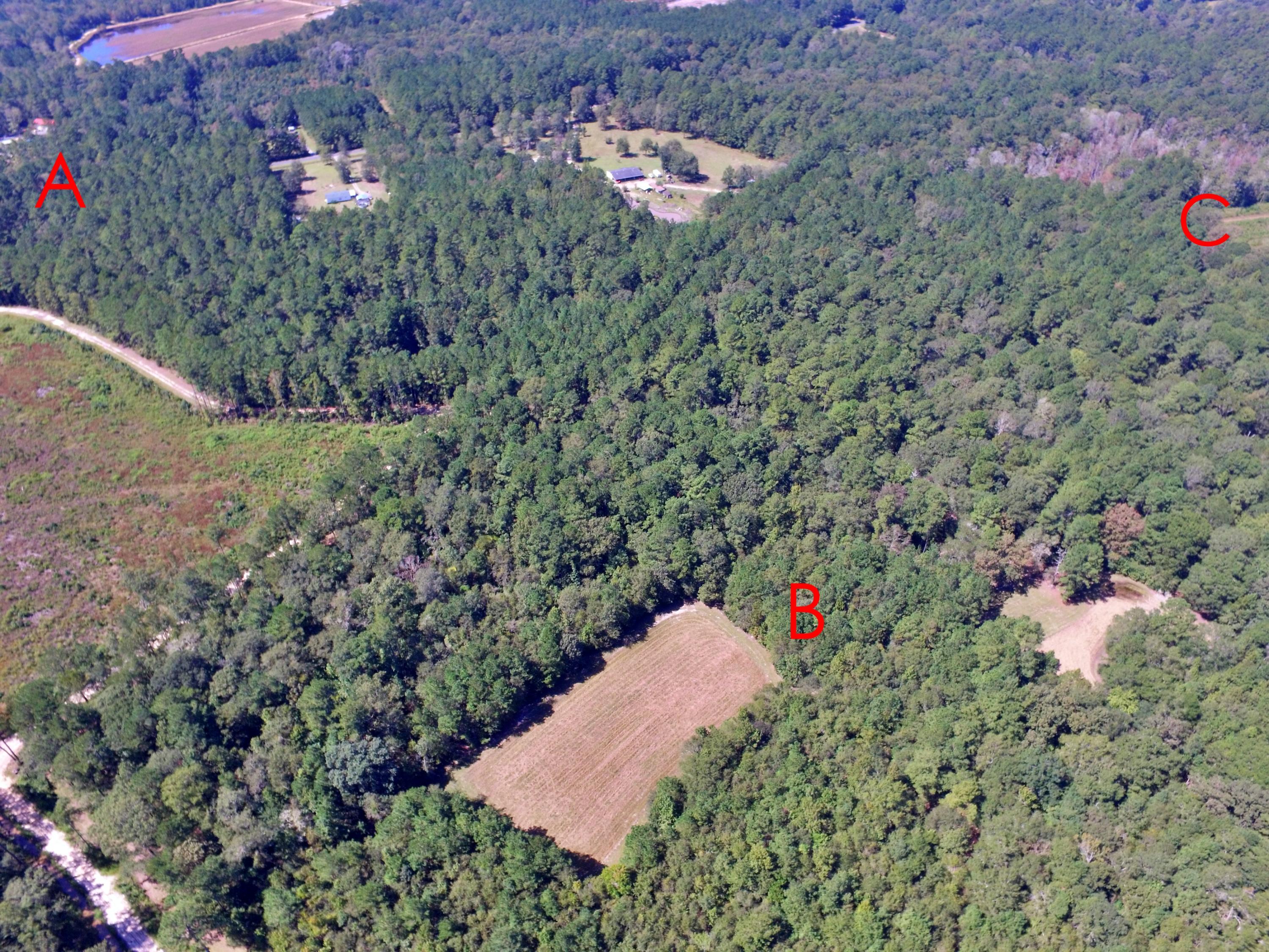 0 Fleming Road Round O, SC 29474 - Photo 7 of 51 36