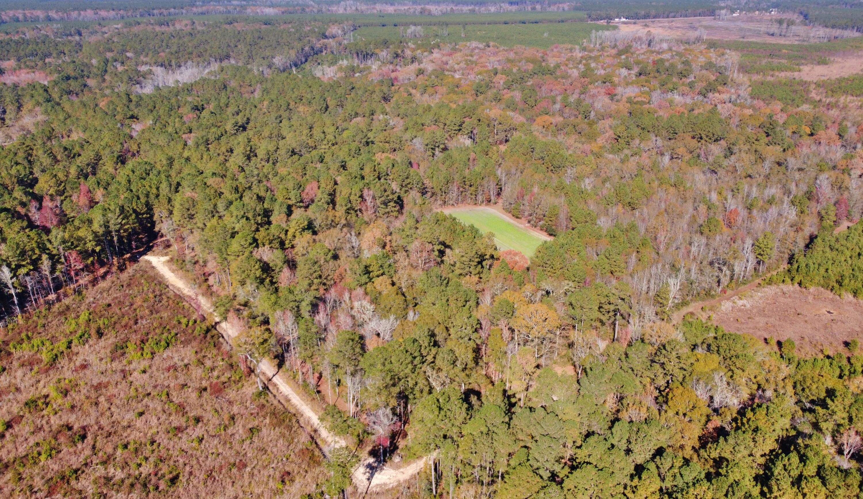 0 Fleming Road Round O, SC 29474 - Photo 8 of 51 1