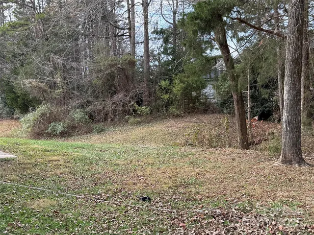 a view of a yard with trees