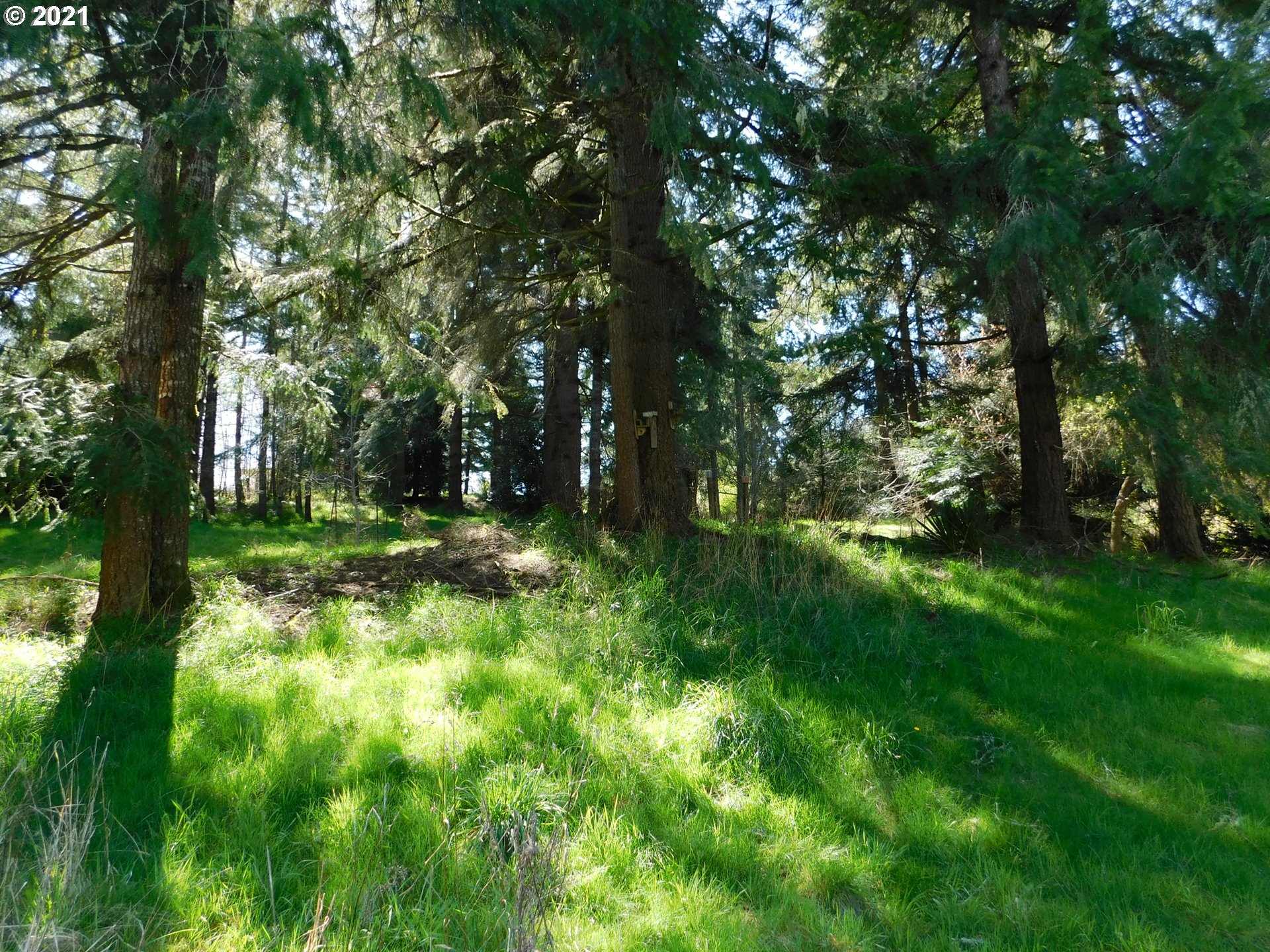 2330 Spruce Street Myrtle Point, OR 97458 - Photo 19 of 20 Gallery Image 19