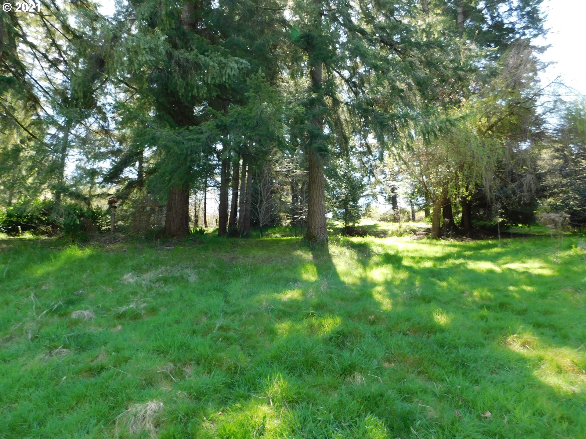2330 Spruce Street Myrtle Point, OR 97458 - Photo 20 of 20 Gallery Image 20