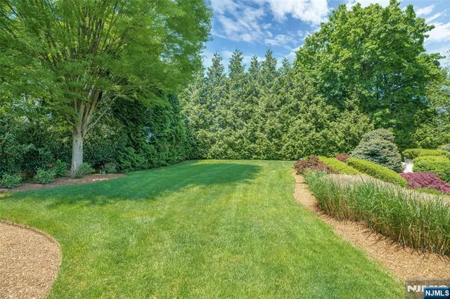 a view of a garden with a small yard