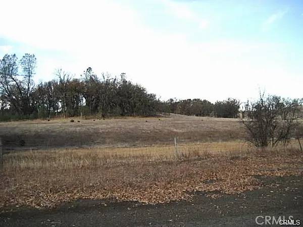 a view of dirt field with trees