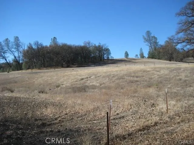a view of dirt field with trees in background
