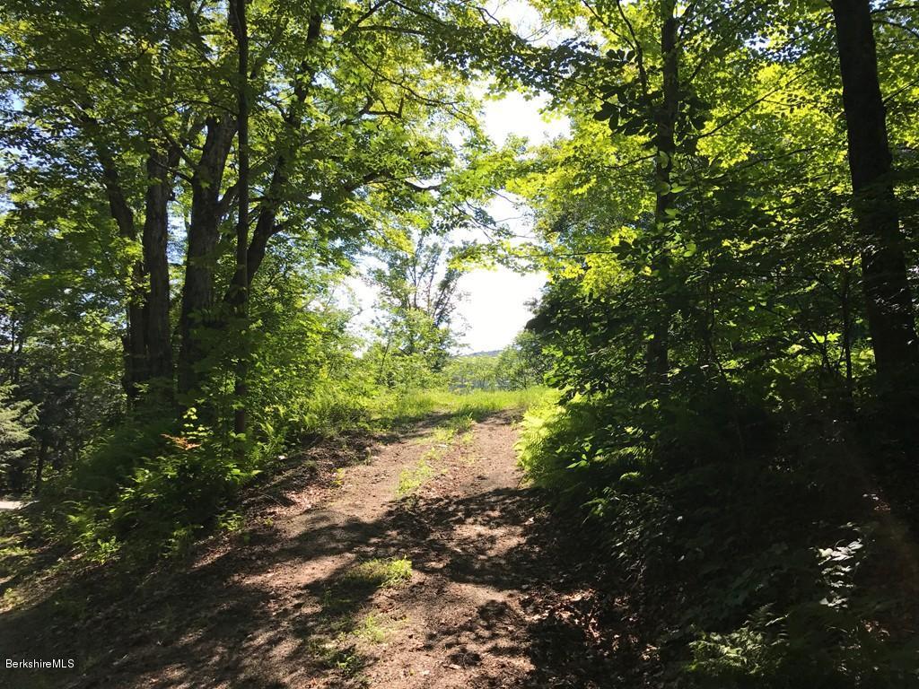 Bardwells Ferry Road Shelburne, MA 01370 - Photo 5 of 12 s-road view