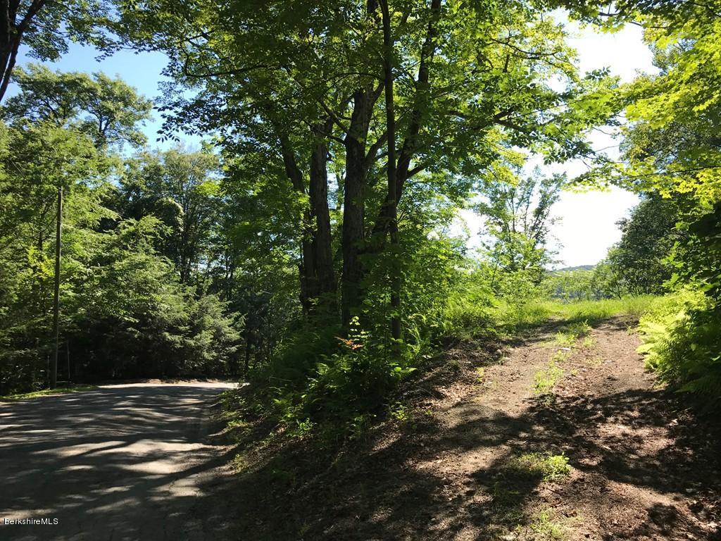 Bardwells Ferry Road Shelburne, MA 01370 - Photo 6 of 12 t-road view