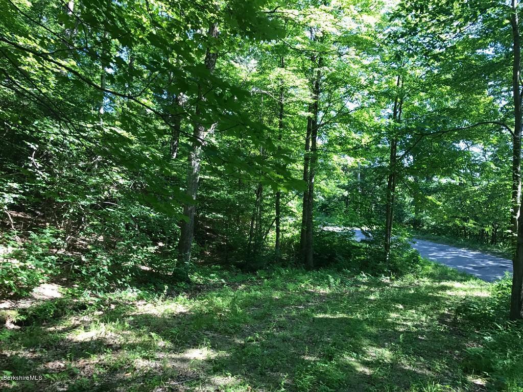 Bardwells Ferry Road Shelburne, MA 01370 - Photo 7 of 12 u-property