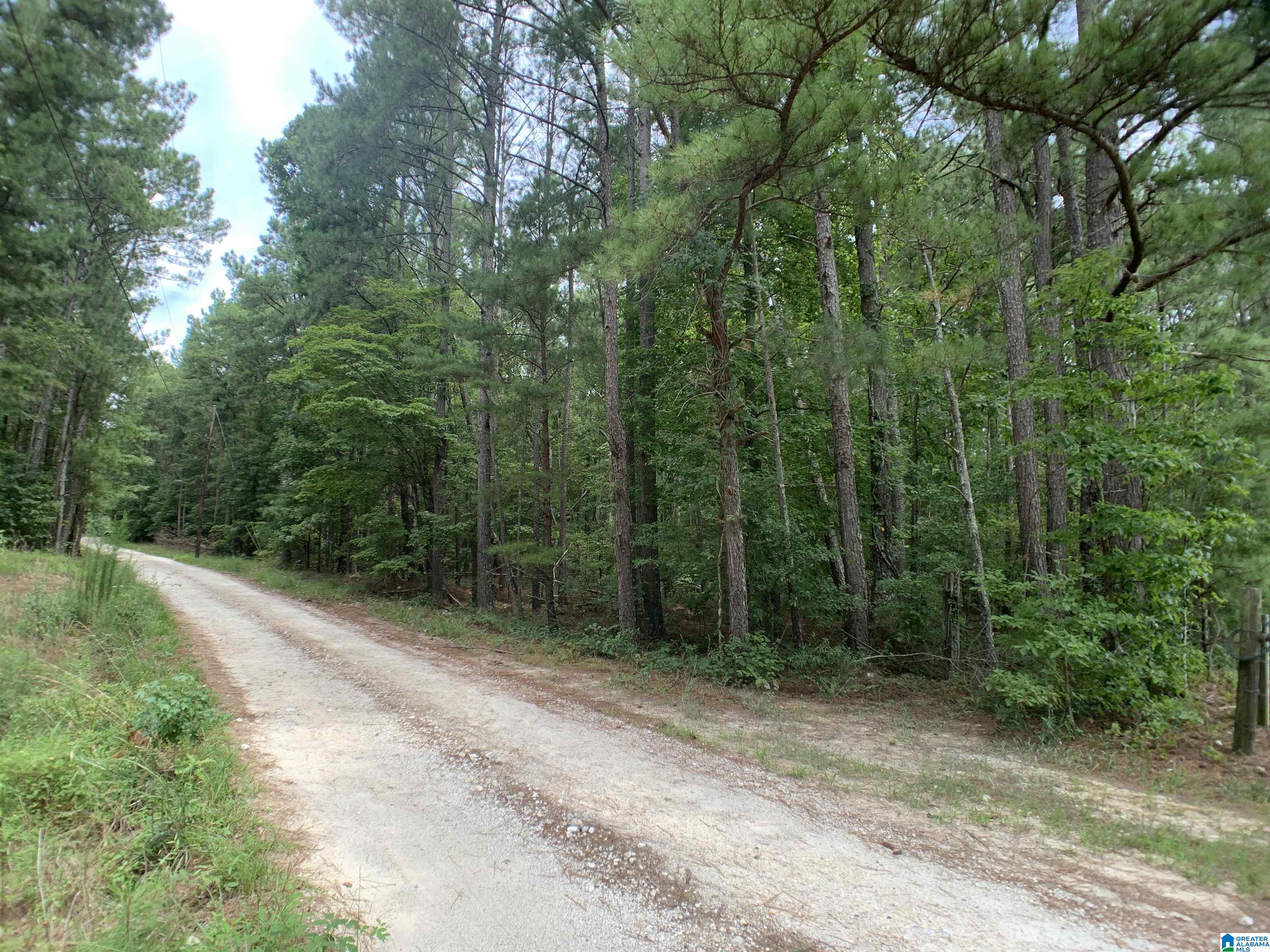 0 Arrowhead Road Piedmont, AL 36272 - Photo 1 of 8