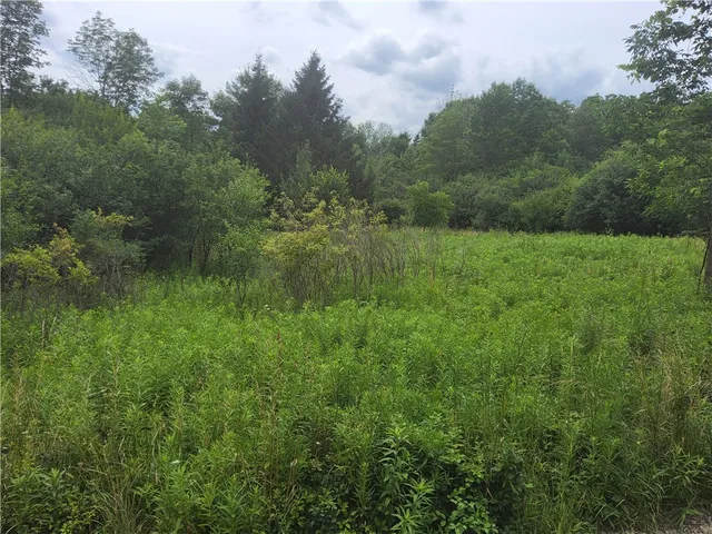 $20,000 | 108 Scott Avenue, Wellsville, NY 14895