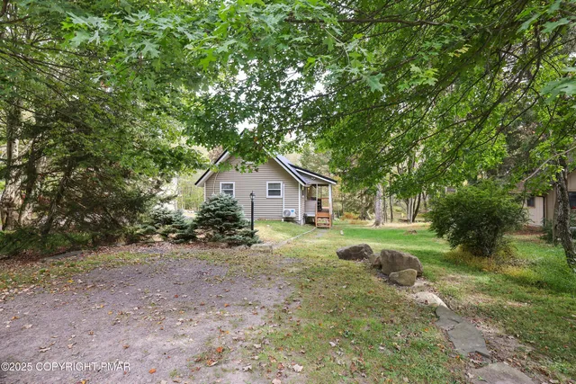 a view of backyard with large trees and plants