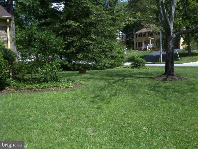 4112 Scotland Road Alexandria, VA 22309 - Photo 10 of 20 Front side view of yard