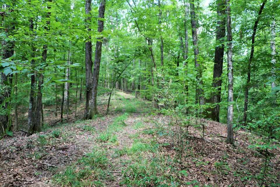 2079 Cox Ferry Road, Unit NONE Flora, MS 39071 - Photo 7 of 17 Photo 7