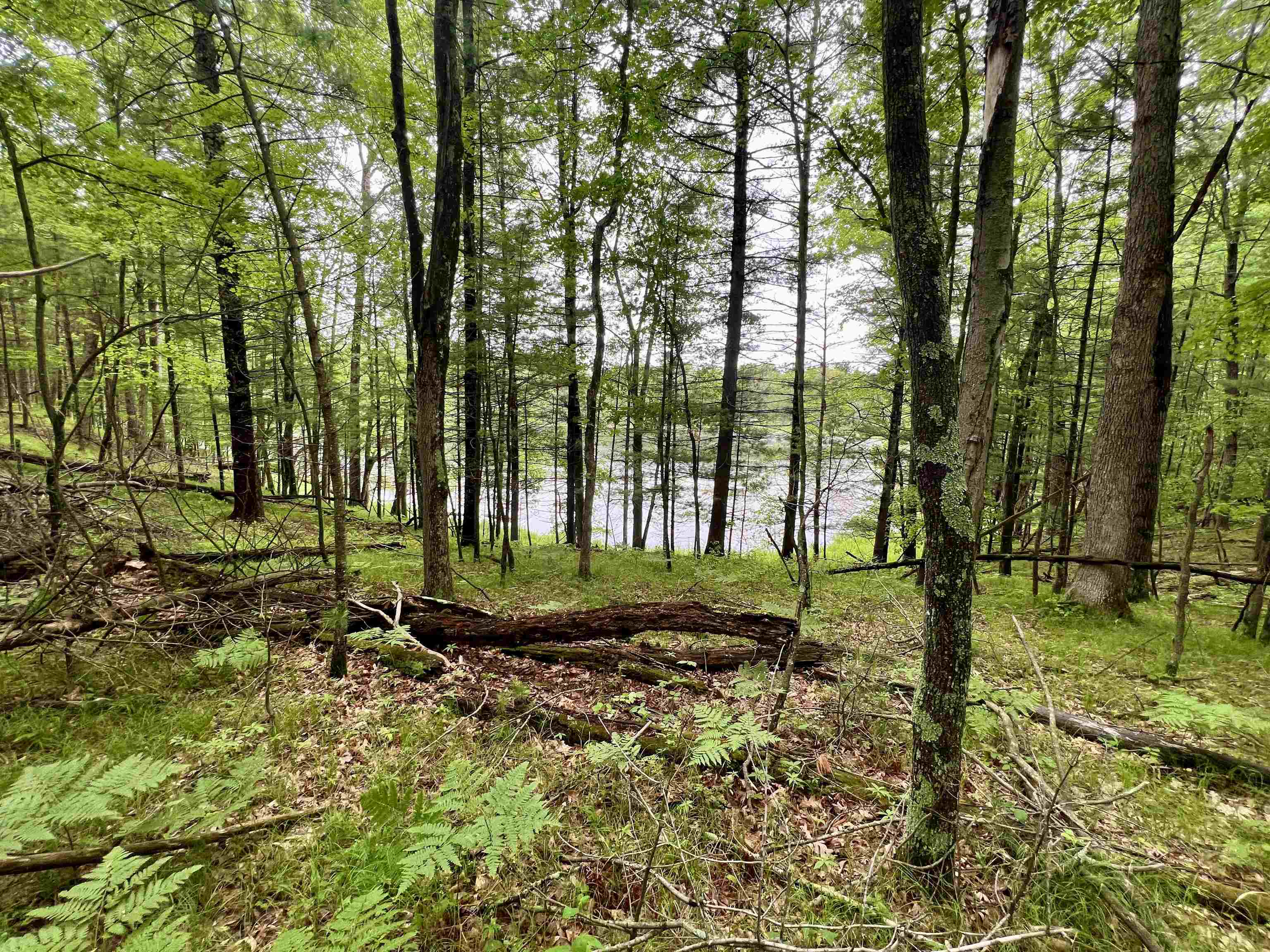 County P Road, Unit 1 Pound, WI 54161 - Photo 12 of 16