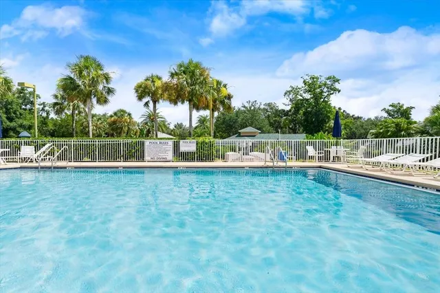 a view of a yard with plants and large trees