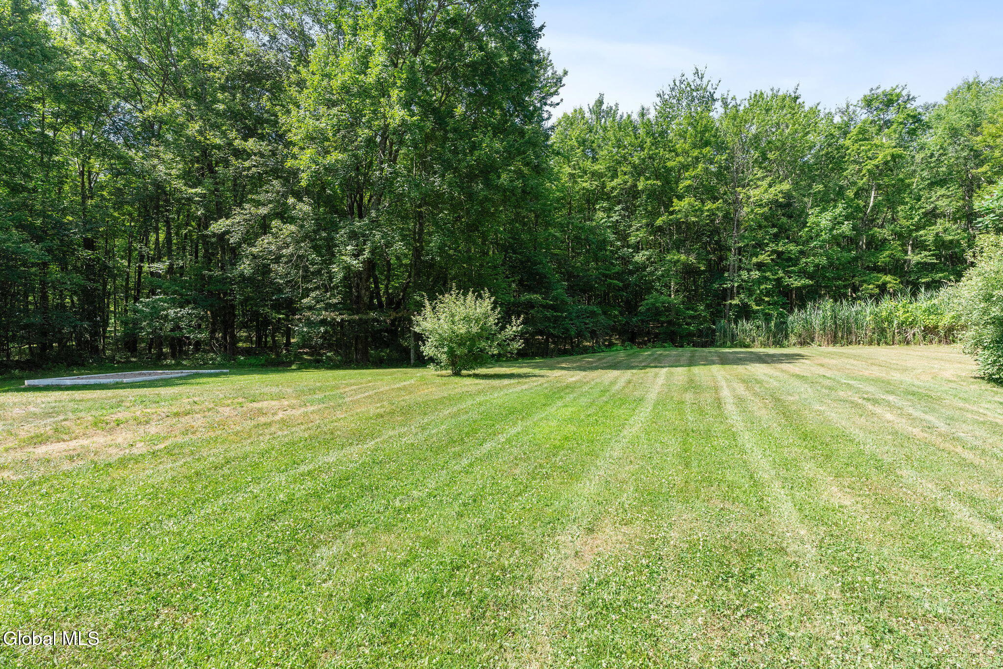 47 Birds Hill Road Sand Lake, NY 12018 - Photo 4 of 72 4-web-or-mls-47-birds-hill-rd