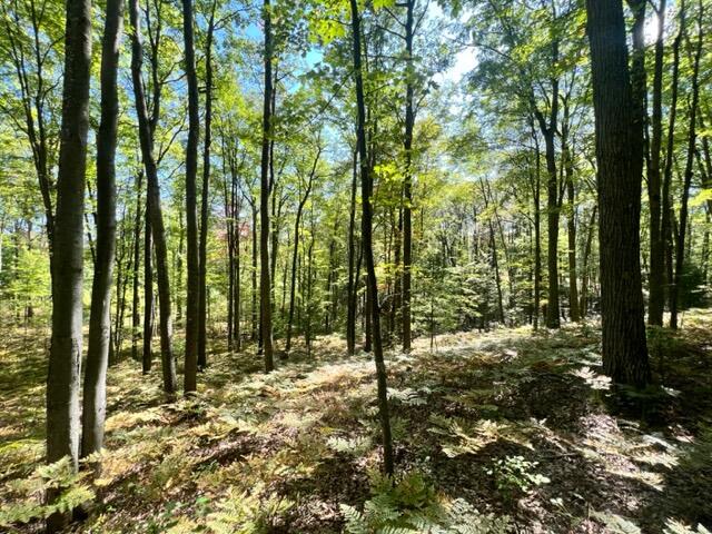 3675 Nasser (120 Acres) Road Fairview, MI 48621 - Photo 44 of 76 Gallery Image 44